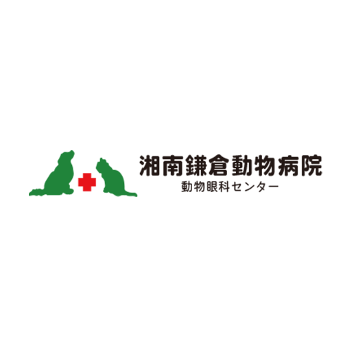 小動物外科専門誌 SURGEON 128号(2018/3月号) (特集:眼科救急) 小動物腫瘍科専門誌 Veterinary Oncology No.29(2021年1月号