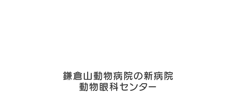 鎌倉山動物病院眼科二次診療センター