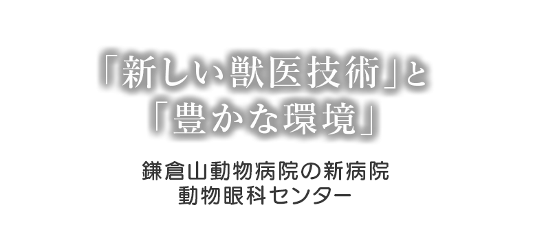 「新しい獣医技術」と「豊かな環境」鎌倉山動物病院眼科二次診療センター８月開院予定